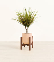 Load image into Gallery viewer, Gentle Pink stand:walnut