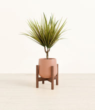 Load image into Gallery viewer, Calm Rose stand:walnut