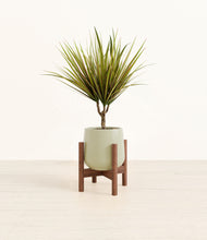 Load image into Gallery viewer, Turquoise stand:walnut