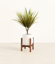Load image into Gallery viewer, White stand:walnut