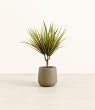 Load image into Gallery viewer, Olive*****Profile