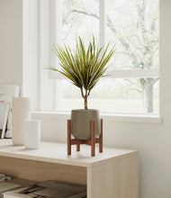 Load image into Gallery viewer, Olive stand:walnut