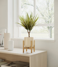 Load image into Gallery viewer, Almond Green stand:bamboo