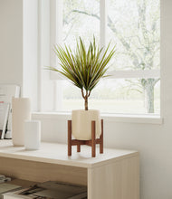 Load image into Gallery viewer, Almond Green stand:walnut