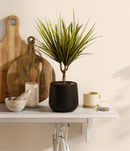 Load image into Gallery viewer, Black