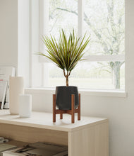 Load image into Gallery viewer, Black stand:walnut