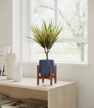 Load image into Gallery viewer, Deep Navy stand:walnut