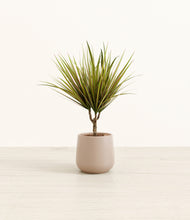 Load image into Gallery viewer, Eternal Gray*****Profile