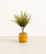 Load image into Gallery viewer, Mustard*****Profile