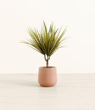 Load image into Gallery viewer, Calm Rose*****Profile