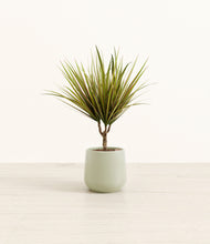 Load image into Gallery viewer, Turquoise*****Profile