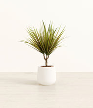 Load image into Gallery viewer, White*****Profile