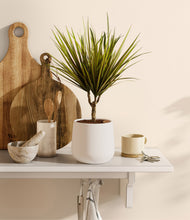 Load image into Gallery viewer, White