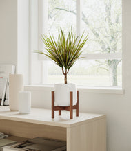 Load image into Gallery viewer, White stand:walnut