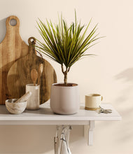 Load image into Gallery viewer, Eternal Gray