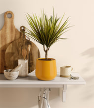 Load image into Gallery viewer, Mustard