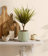 Load image into Gallery viewer, Turquoise