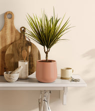 Load image into Gallery viewer, Calm Rose