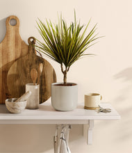 Load image into Gallery viewer, Cotton White