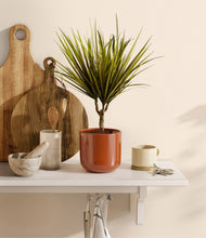 Load image into Gallery viewer, Glossy Red