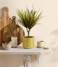 Load image into Gallery viewer, Key Lime Yellow