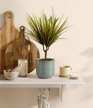 Load image into Gallery viewer, Reactive Aqua