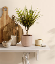 Load image into Gallery viewer, Sandy Pink