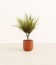 Load image into Gallery viewer, Glossy Red*****Profile