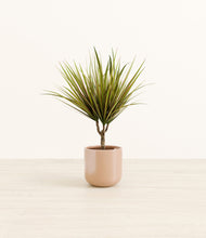 Load image into Gallery viewer, Glossy Pink*****Profile