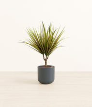 Load image into Gallery viewer, Iron Gray*****Profile