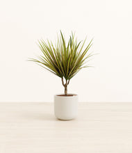 Load image into Gallery viewer, Cotton White*****Profile