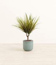 Load image into Gallery viewer, Reactive Aqua*****Profile