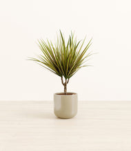 Load image into Gallery viewer, Sage Green*****Profile