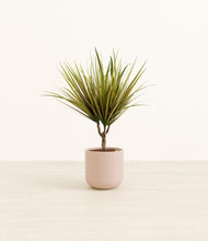 Load image into Gallery viewer, Sandy Pink*****Profile