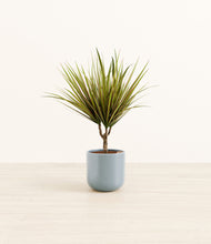 Load image into Gallery viewer, Misty Blue*****Profile