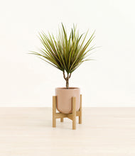 Load image into Gallery viewer, Glossy Pink stand:bamboo