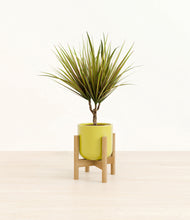 Load image into Gallery viewer, Key Lime Yellow stand:bamboo