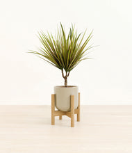 Load image into Gallery viewer, Sage Green stand:bamboo