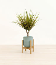 Load image into Gallery viewer, Reactive Aqua stand:bamboo