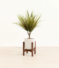 Load image into Gallery viewer, Cotton White stand:walnut