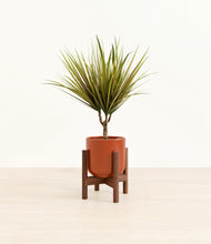 Load image into Gallery viewer, Glossy Red stand:walnut