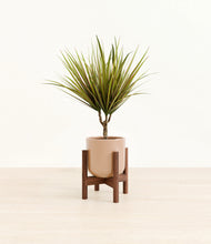 Load image into Gallery viewer, Glossy Pink stand:walnut