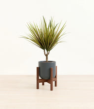 Load image into Gallery viewer, Iron Gray stand:walnut