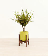 Load image into Gallery viewer, Key Lime Yellow stand:walnut