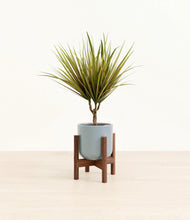 Load image into Gallery viewer, Misty Blue stand:walnut