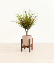 Load image into Gallery viewer, Sandy Pink stand:walnut