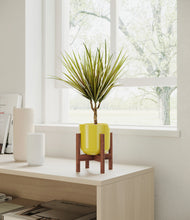Load image into Gallery viewer, Key Lime Yellow stand:walnut