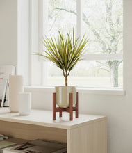 Load image into Gallery viewer, Sage Green stand:walnut