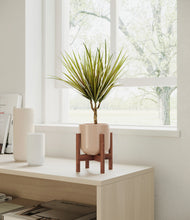Load image into Gallery viewer, Sandy Pink stand:walnut