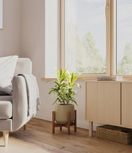 Load image into Gallery viewer, Olive stand:walnut